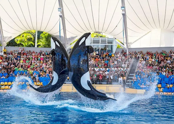 Terassas- Playa De Americas - Tenerife- Espagne 美洲海滩