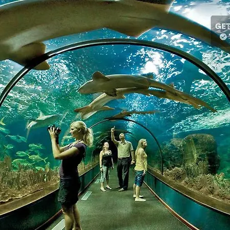 Terassas- Playa De Americas - Tenerife- Espagne Apartment *