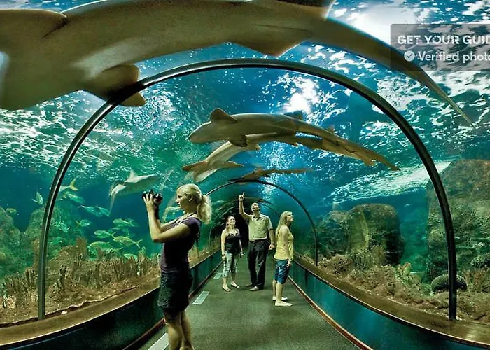 Terassas- Playa De Americas - Tenerife- Espagne Apartment *